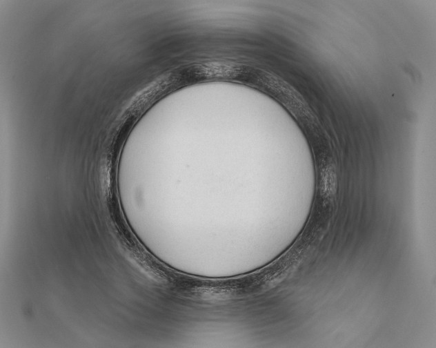 X0000111380733200908071234