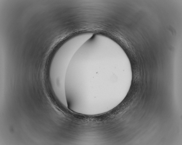 X0000111380736200908071234