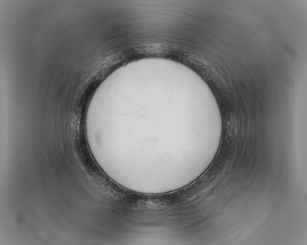 X0000111380739200908071234