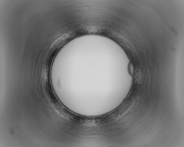 X0000111380740200908071234