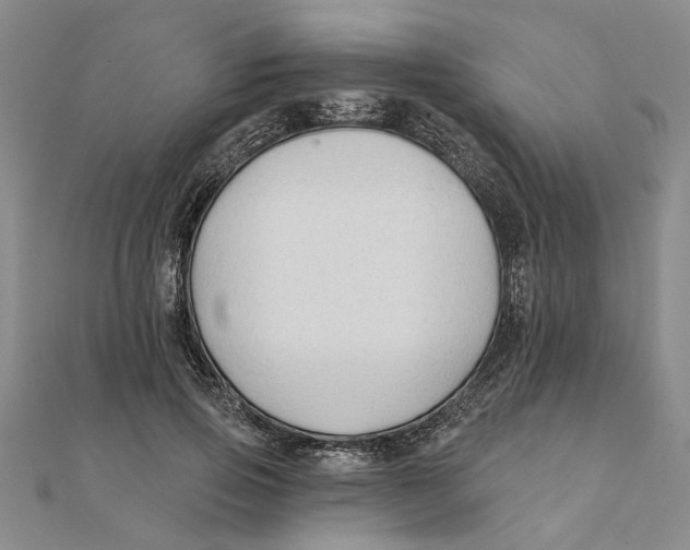 X0000111380741200908071234