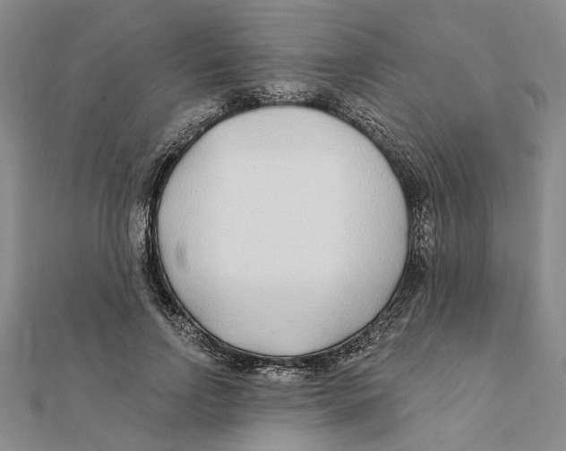 X0000111380742200908071234