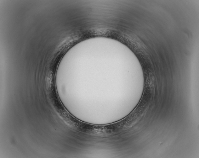 X0000111380744200908071234