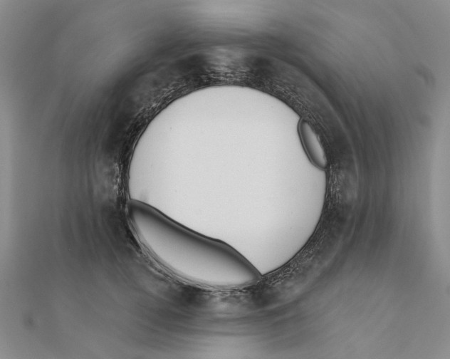 X0000111380752200908071234