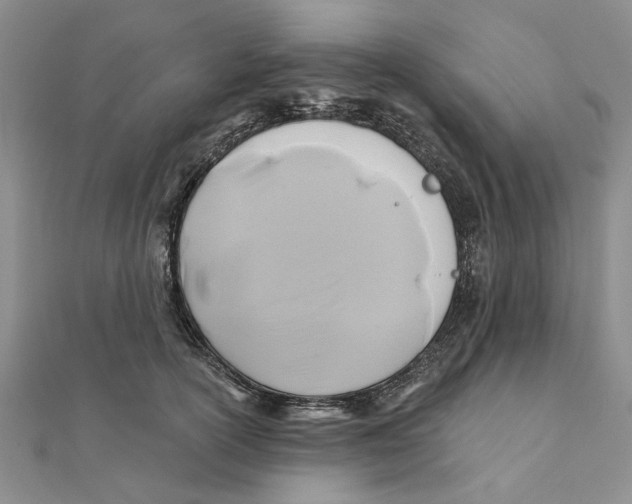 X0000111380754200908071235