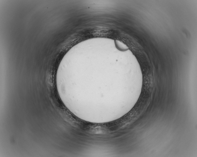 X0000111380755200908071235