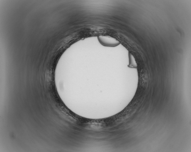 X0000111380756200908071235