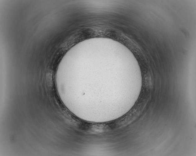 X0000111380757200908071235