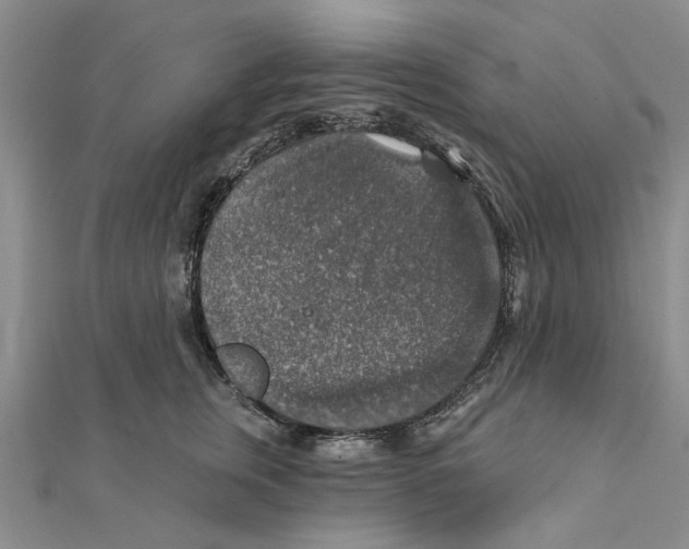 X0000111380759200908071235