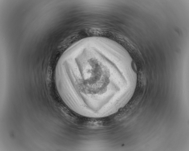 X0000111380760200908071235