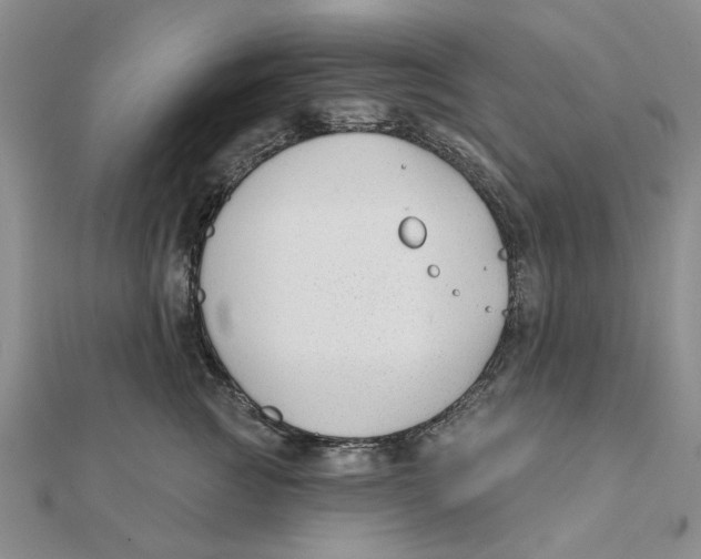 X0000111380761200908071235