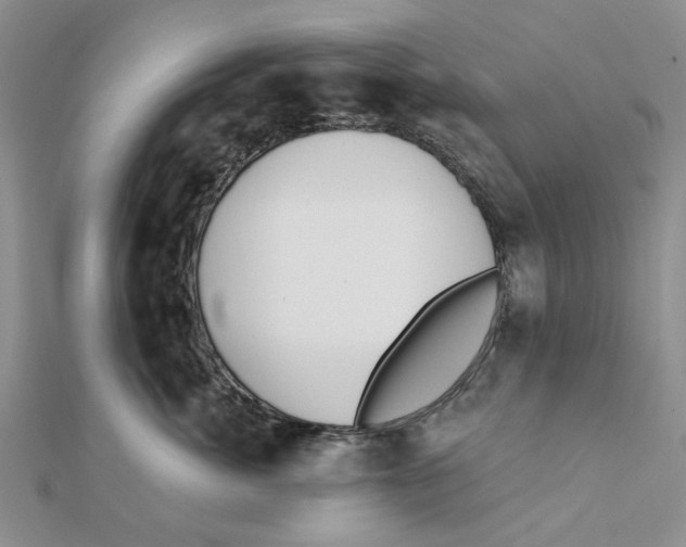 X0000111380764200908071235