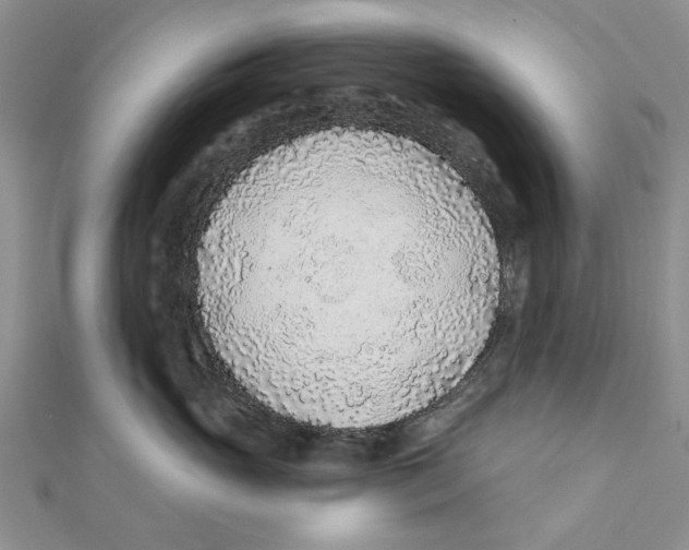 X0000111380765200908071235