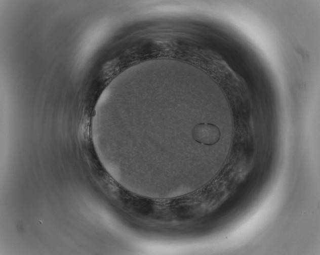 X0000111380766200908071235