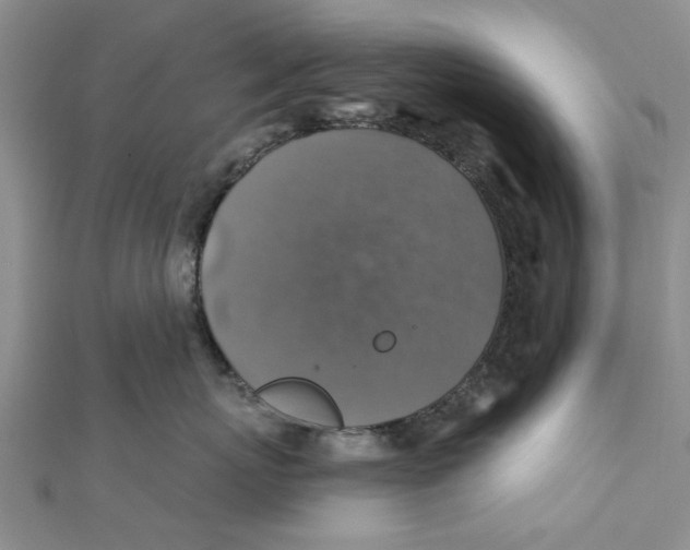 X0000111380767200908071235