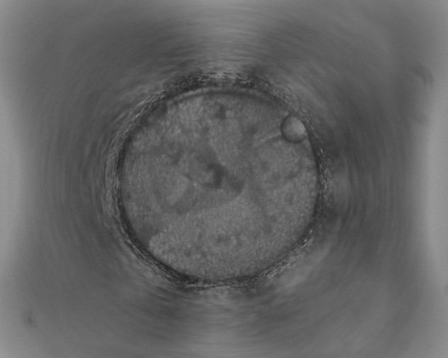 X0000111380769200908071234