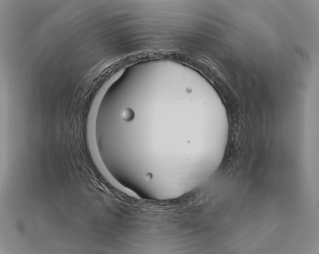 X0000111380773200908071234