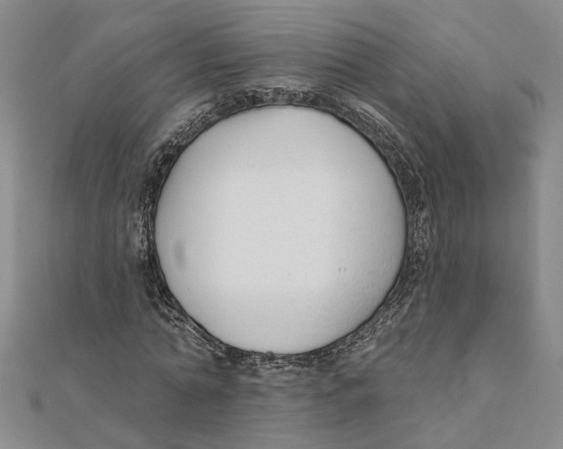 X0000111380774200908071234