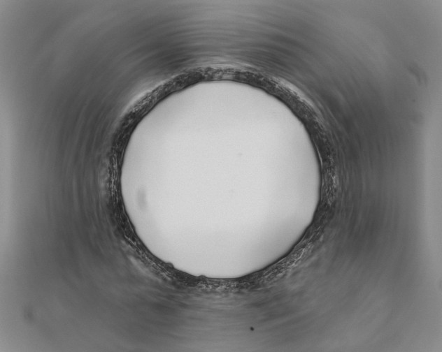 X0000111380775200908071234