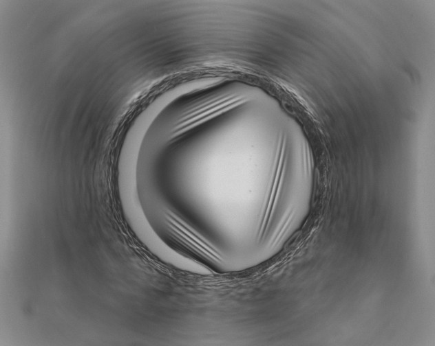 X0000111380776200908071234