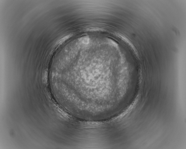 X0000111380777200908071234