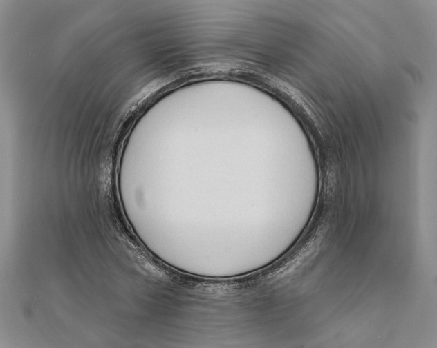 X0000111380778200908071234