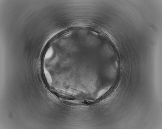 X0000111380779200908071234