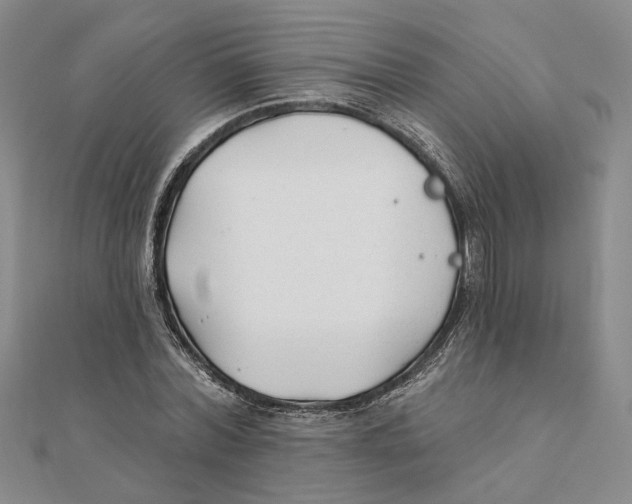 X0000111380780200908071234