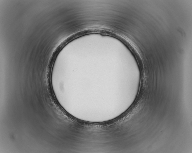 X0000111380783200908071234