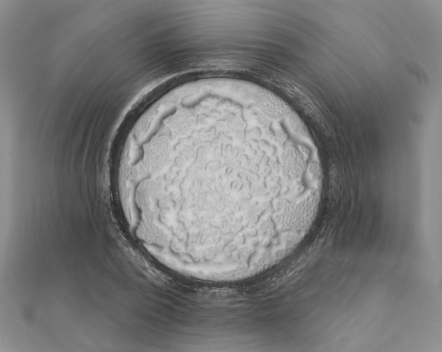 X0000111380784200908071234