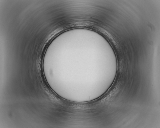 X0000111380786200908071234