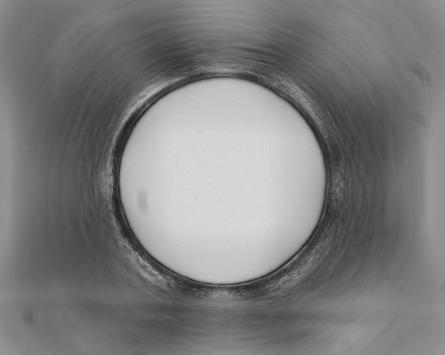 X0000111380787200908071234