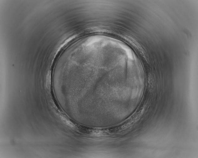 X0000111380790200908071234