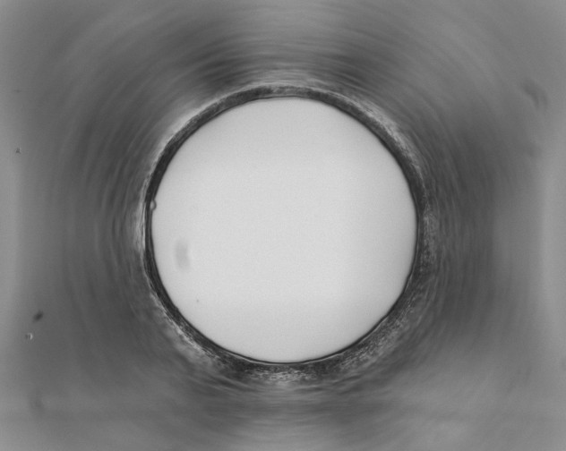 X0000111380791200908071234