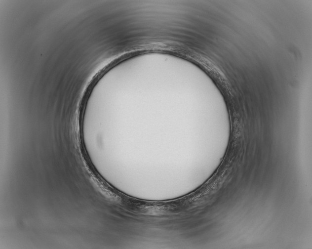 X0000111380792200908071234