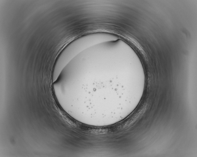 X0000111380793200908071234