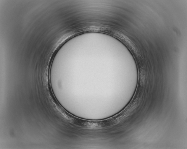 X0000111380794200908071234