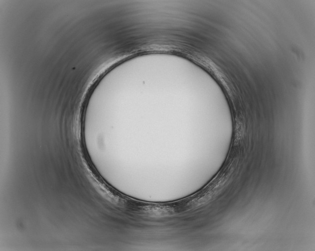 X0000111380795200908071234