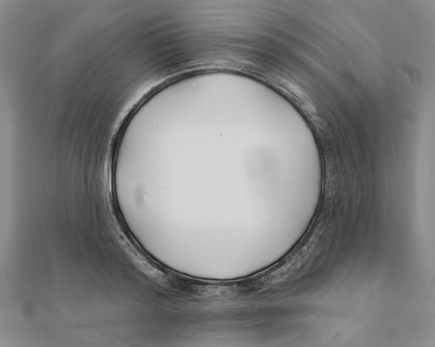 X0000111380796200908071234