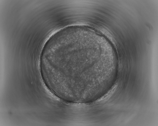 X0000111380797200908071234