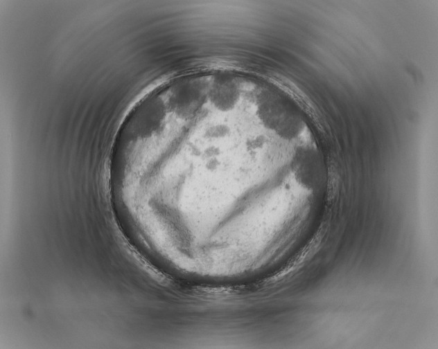 X0000111380798200908071234