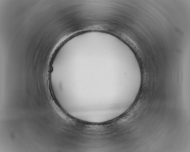 X0000111380800200908071234