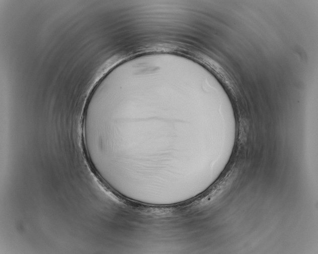 X0000111380802200908071233