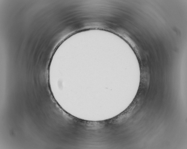 X0000111380807200908071233