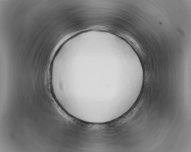 X0000111380808200908071233