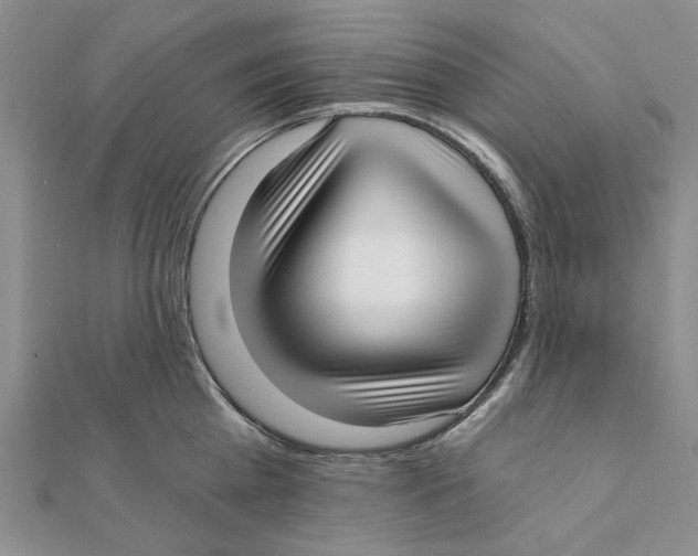 X0000111380809200908071233