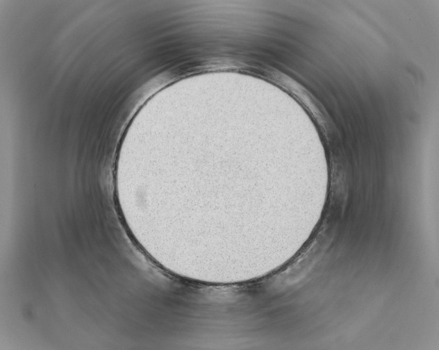 X0000111380810200908071233