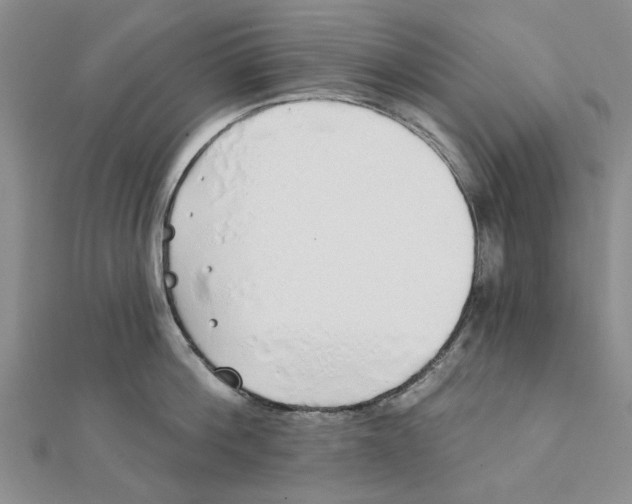 X0000111380812200908071233