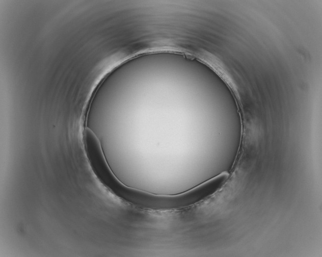 X0000111380813200908071233