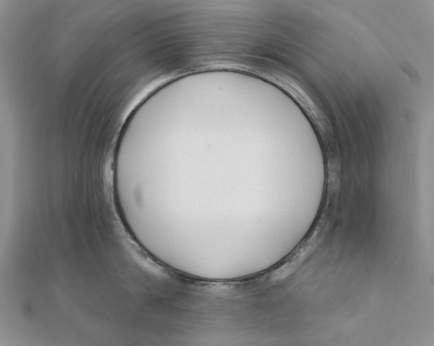 X0000111380814200908071233